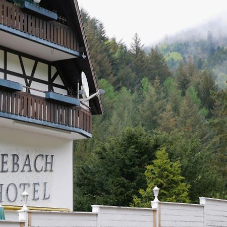 Seebach-Hotel Exteriör bild